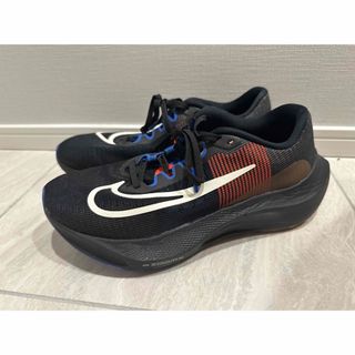 ナイキ(NIKE)のナイキ　NIKE Zoom Fly5 "A.1.R. Hola Lou"(ランニング/ジョギング)
