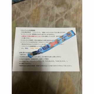 音楽と髭達2024  チケット　新潟　1枚　値下げ可能です(音楽フェス)