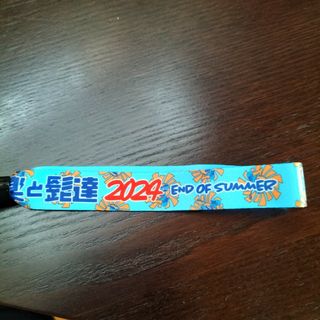 音楽と髭達2024リストバンド入場券1枚(音楽フェス)