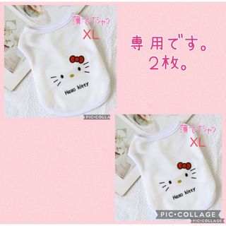 サンリオ(サンリオ)の♥️専用です♥️犬服XL  メッシュ　キティちゃん　白　ドックウェア　犬の服　猫服　(犬)