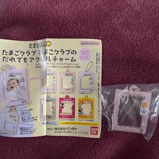 バンダイ(BANDAI)のガシャポン  たまひよ　たまごクラブ　ひよこクラブ だれでもアクリルチャーム (その他)