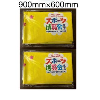 TOKYO SPORTS EXPO スポーツ博覧会 レジャーシート2枚セット(その他)