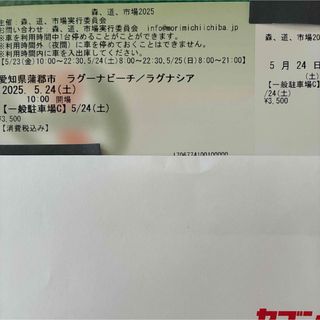 森道市場　駐車場Ｃ(音楽フェス)