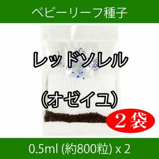 ベビーリーフ種子 B-50 レッドソレル（オゼイユ） 0.5ml x 2袋(野菜)