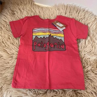 patagonia - パタゴニア Tシャツ　3T