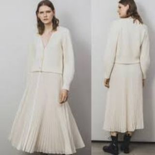 Theory - 試着のみ　Theory セオリー　シアーロングプリーツスカート