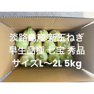 淡路島産 新玉ねぎ L～2L 秀品 5kg早生品種 七宝(野菜)
