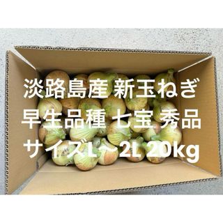 淡路島産 新玉ねぎ L～2L 秀品 20kg早生品種 七宝(野菜)