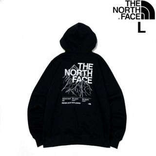 ザノースフェイス(THE NORTH FACE)のノースフェイス パーカー US限定 グラフィック 男女兼用(L)黒 181130(パーカー)