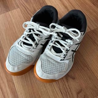 アシックスショウジ(asics)のアシックス　21.5(スニーカー)