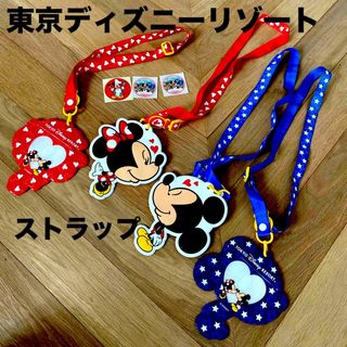 Disney - 東京ディズニーリゾート　ディズニーランド　ディズニーシー　ストラップ　チケット
