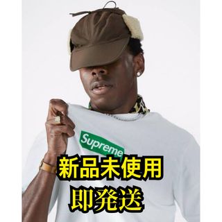 シュプリーム(Supreme)のSupreme Tyler The Creator Poster ポスター非売品(その他)
