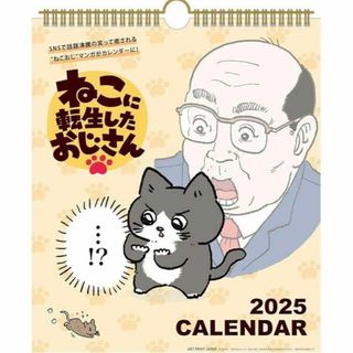 2025年 ねこに転生したおじさん(30角) カレンダー No.170　壁掛け(カレンダー/スケジュール)