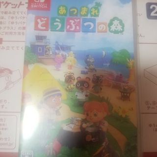 任天堂 - 399.あつまれ どうぶつの森 Nintendo Switch