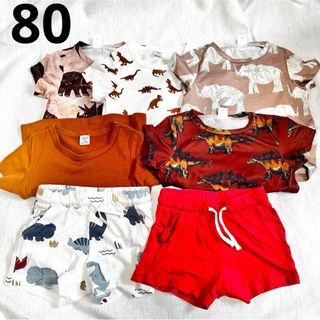 エイチアンドエム(H&M)のベビー服　Tシャツ　ハーフパンツ　まとめ売り　h&m 恐竜　80 7点セット(Ｔシャツ)