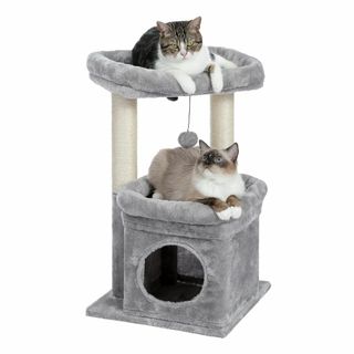 【数量限定】PAWZ Road キャットタワー ミニ 猫タワー 小型 低い 小さ