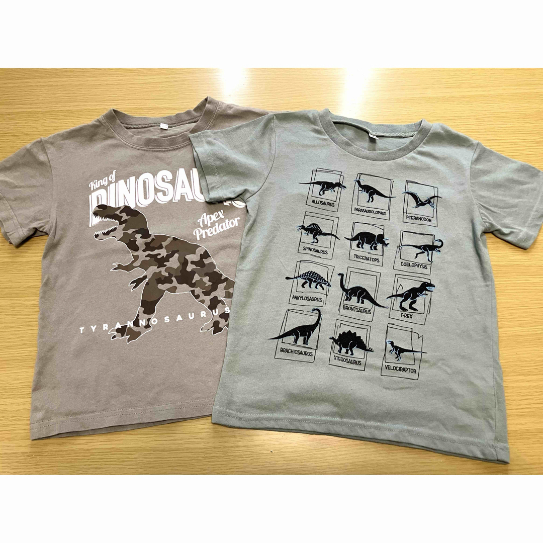 西松屋(ニシマツヤ)の【120サイズ】恐竜 Tシャツ　2枚セット キッズ/ベビー/マタニティのキッズ服男の子用(90cm~)(Tシャツ/カットソー)の商品写真