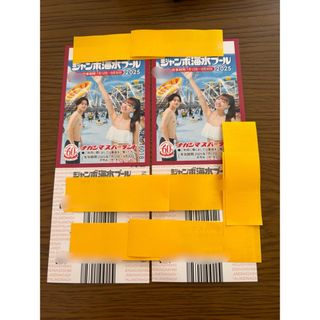 ナガシマスパーランド　ジャンボ海水プール　入場券　チケット(遊園地/テーマパーク)