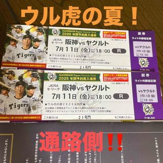 ハンシンタイガース(阪神タイガース)の7月11日　阪神対ヤクルト　18時開始　通路側‼️(野球)